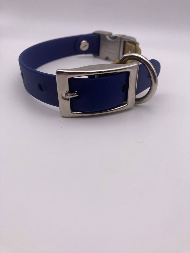 E-collar strap with quick release