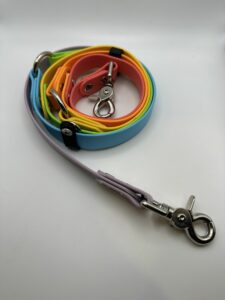 Rainbow Hands-Free Leash