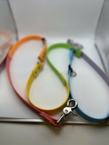 Rainbow Hands-Free Leash