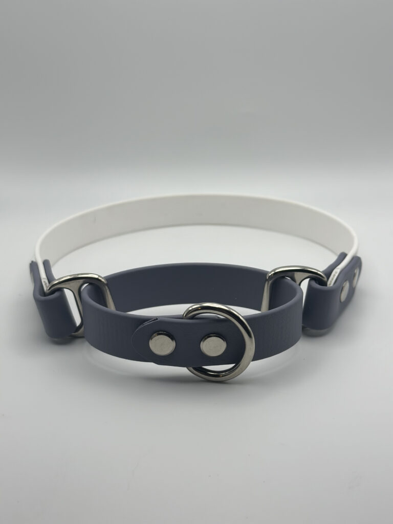 Martingale Collar